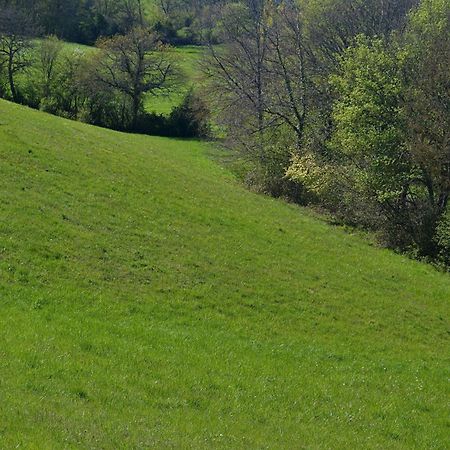 Chambre D'Hote Au Domaine Terre De Chenes Saint-Paul-de-Baise Eksteriør billede