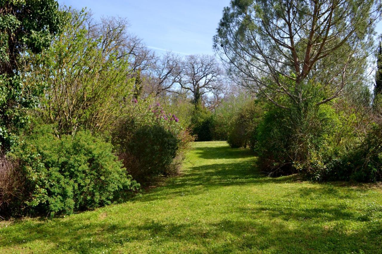 Chambre D'Hote Au Domaine Terre De Chenes Saint-Paul-de-Baise Eksteriør billede