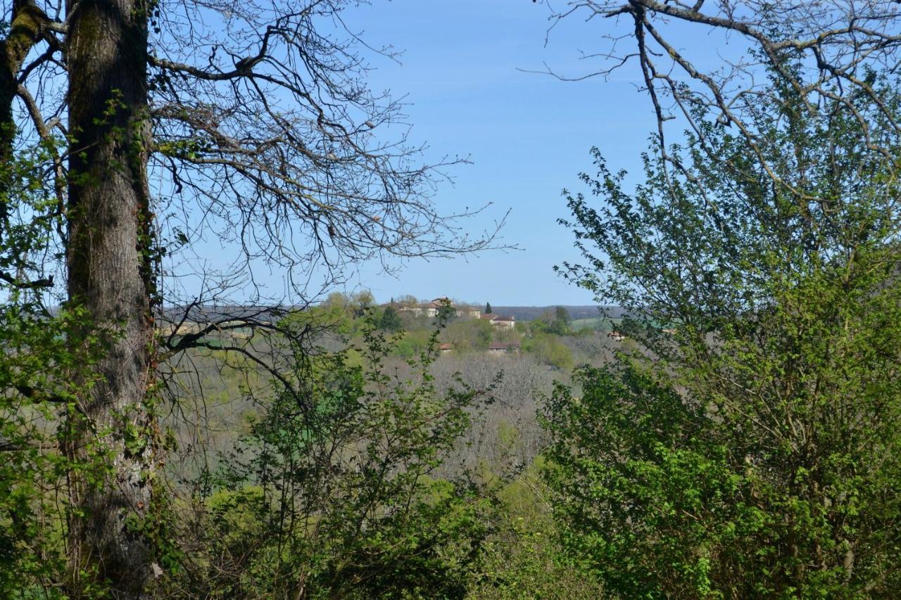 Chambre D'Hote Au Domaine Terre De Chenes Saint-Paul-de-Baise Eksteriør billede