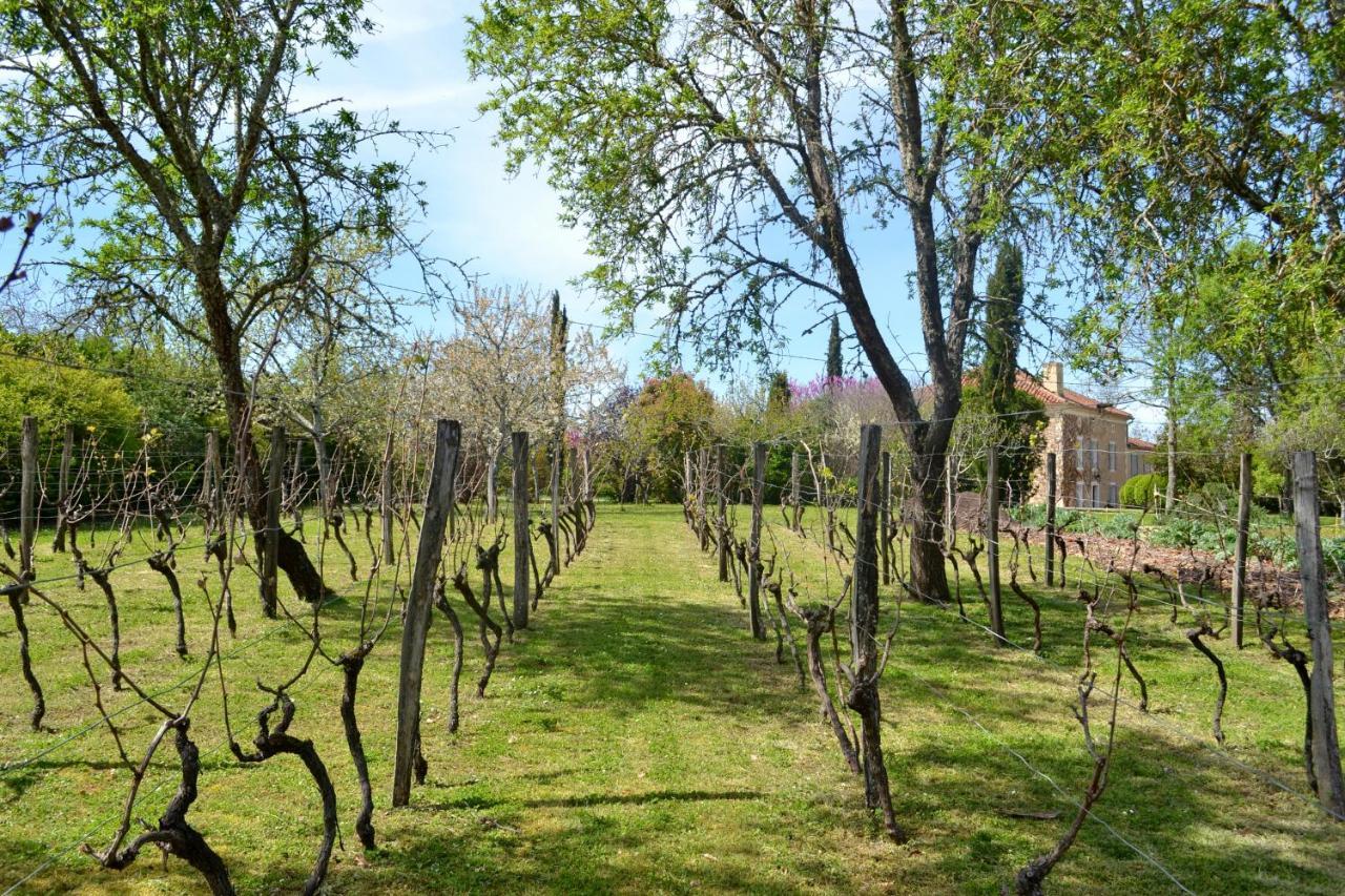 Chambre D'Hote Au Domaine Terre De Chenes Saint-Paul-de-Baise Eksteriør billede