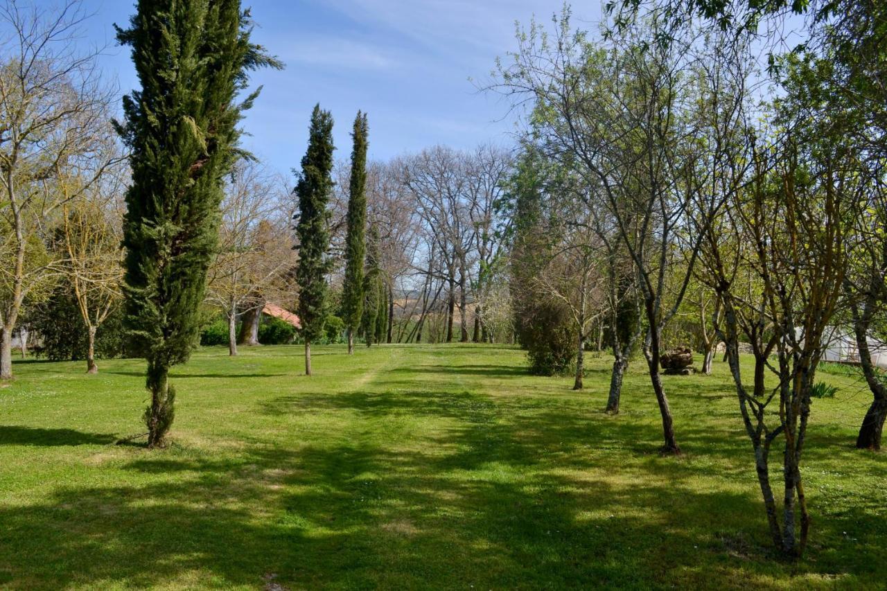 Chambre D'Hote Au Domaine Terre De Chenes Saint-Paul-de-Baise Eksteriør billede