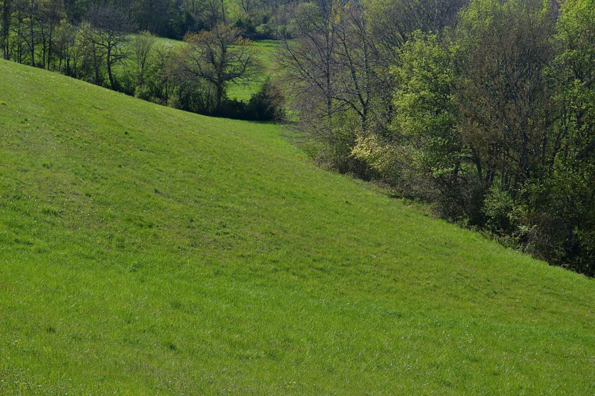 Chambre D'Hote Au Domaine Terre De Chenes Saint-Paul-de-Baise Eksteriør billede