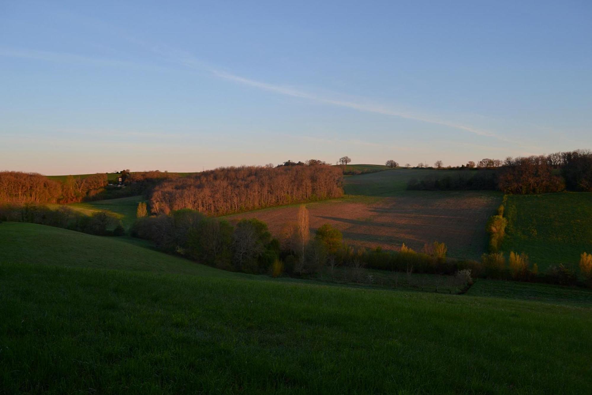 Chambre D'Hote Au Domaine Terre De Chenes Saint-Paul-de-Baise Eksteriør billede
